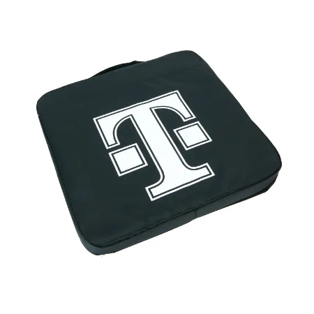 Stadium Cushion